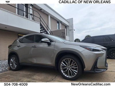 2023 Lexus NX NX 350 Luxury